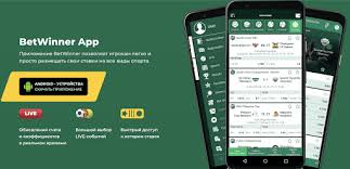 Explore the World of Gambling Casino Betwinner