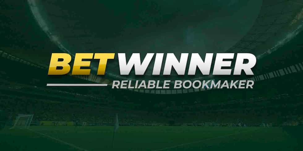 Bets on BetWinner Explore the Best Betting Options