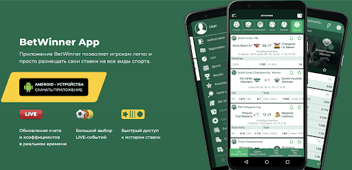 Bets on BetWinner Explore the Best Betting Options