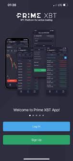 Mastering PrimeXBT Forex Your Comprehensive Guide to Trading Success
