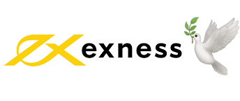 Understanding Exness Forex Accounts for Effective Trading