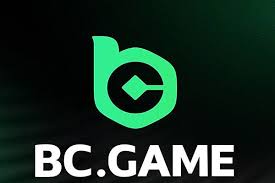 BC.Game পেমেন্ট পদ্ধতি অনলাইন গেম খেলার সহজ উপায়